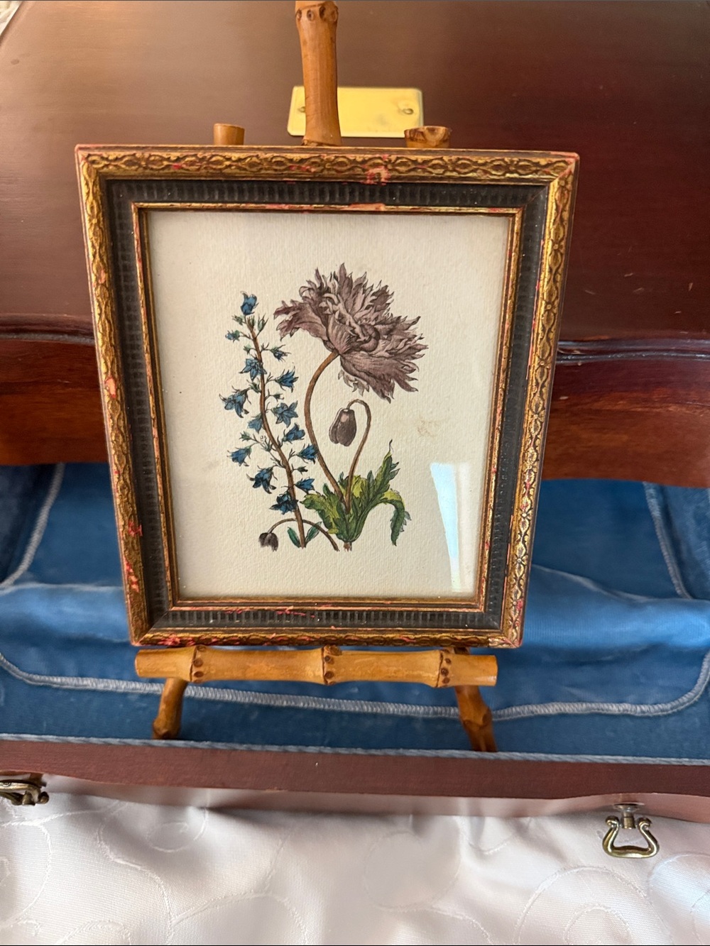 Antique Engraving Hand Coloured Water Colour